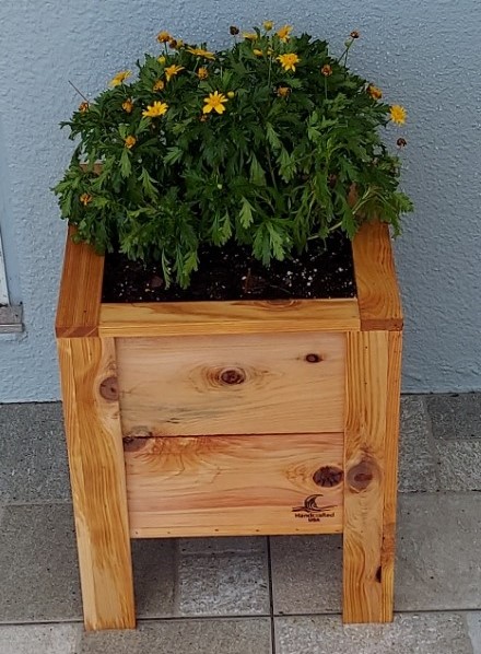 Small Client Cedar Planter Box After Small Cedar planter box with small wood burned logo at the bottom right, a freshly potted plant with bright yellow flowers is shown in the planter